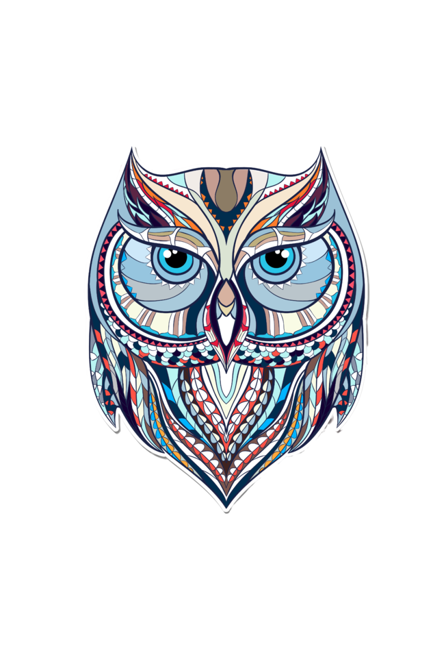 Animal Chic Owl